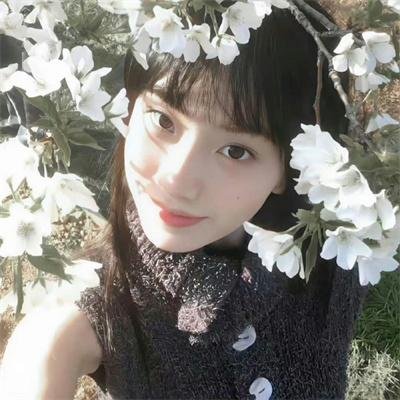 辉夜姬物语